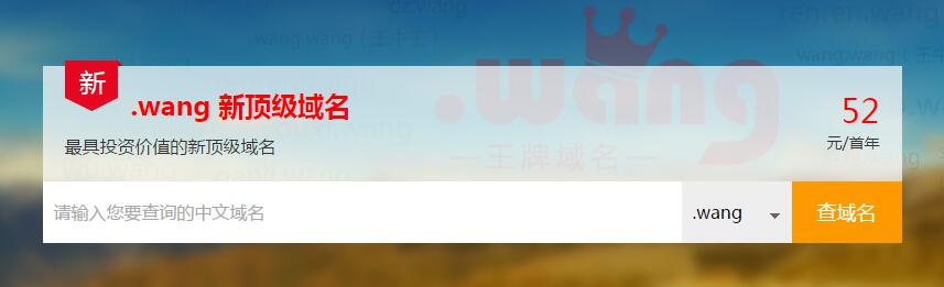 .wang新頂級域名注冊 .wang新頂級域名注冊