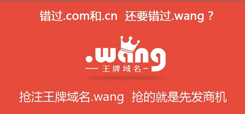.wang新頂級域名注冊