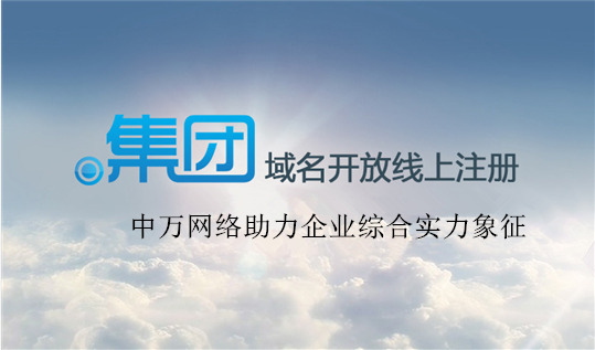 .集團域名價值