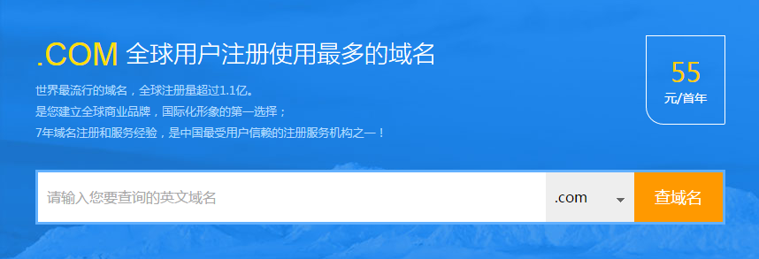 .COM域名