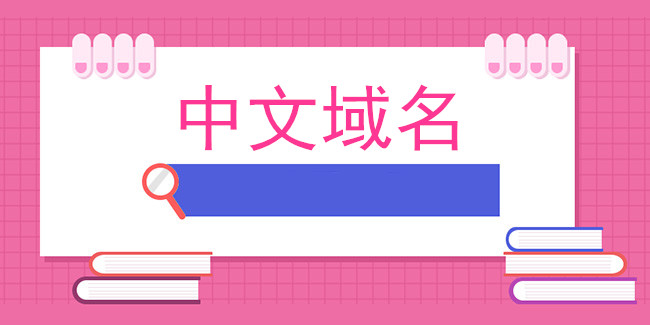 中文域名重視細節才能更完美