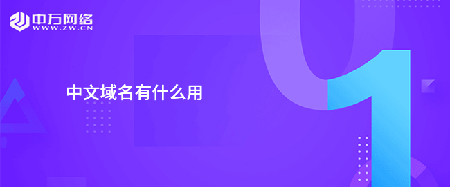 中文域名有什么用
