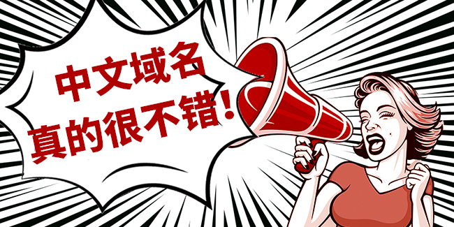 中文域名注冊注意事項 中文域名注冊注意事項