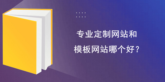 專業定制網站和模板網站哪個好？